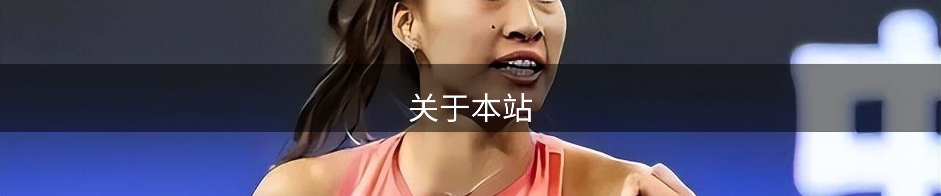关于本站